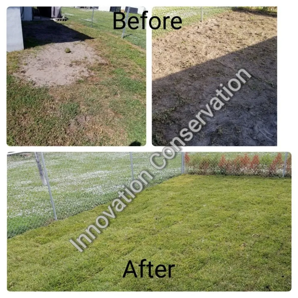 Expert yard maintenance in Miami, FL - Innovation Conservation