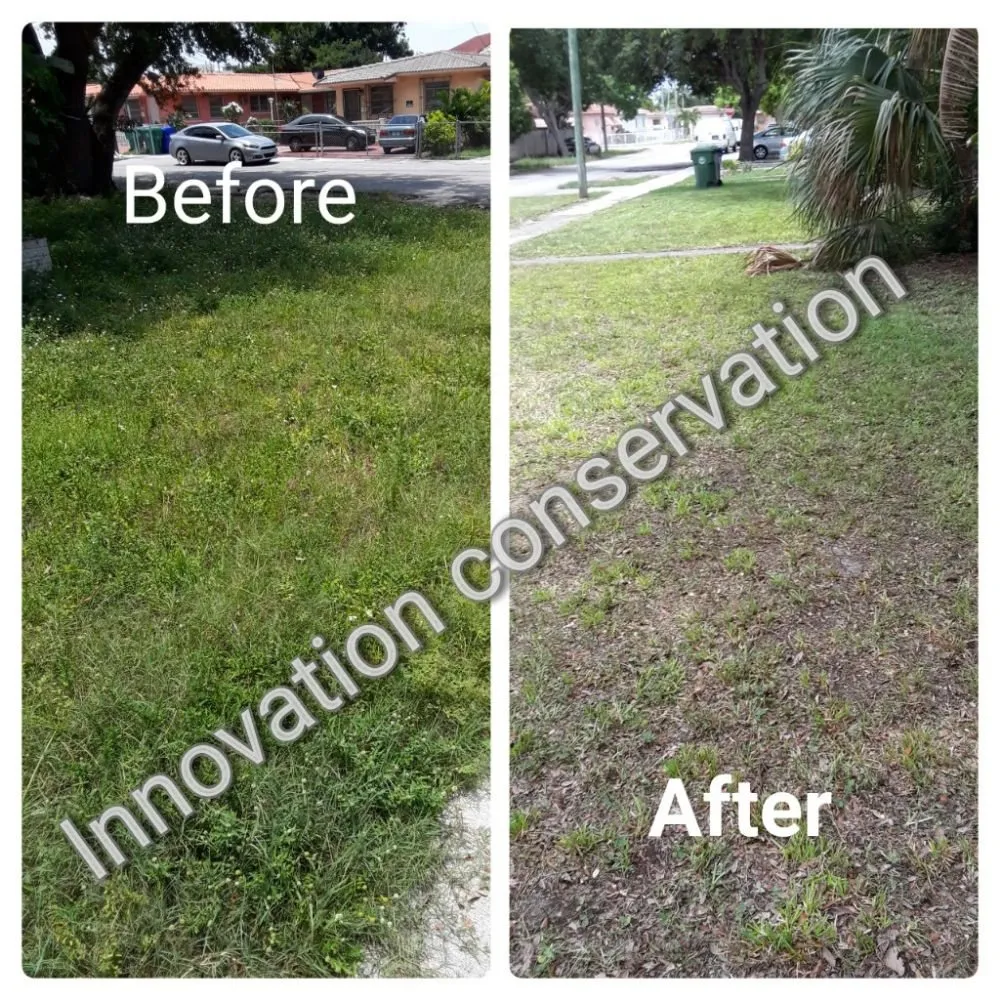Local landscape design in Miami, FL by Innovation Conservation