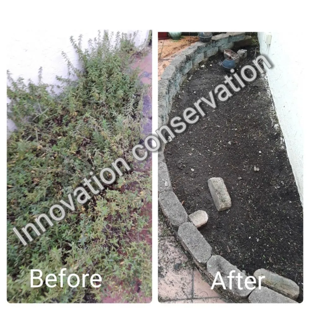 Custom landscape installation in Miami, FL - Innovation Conservation
