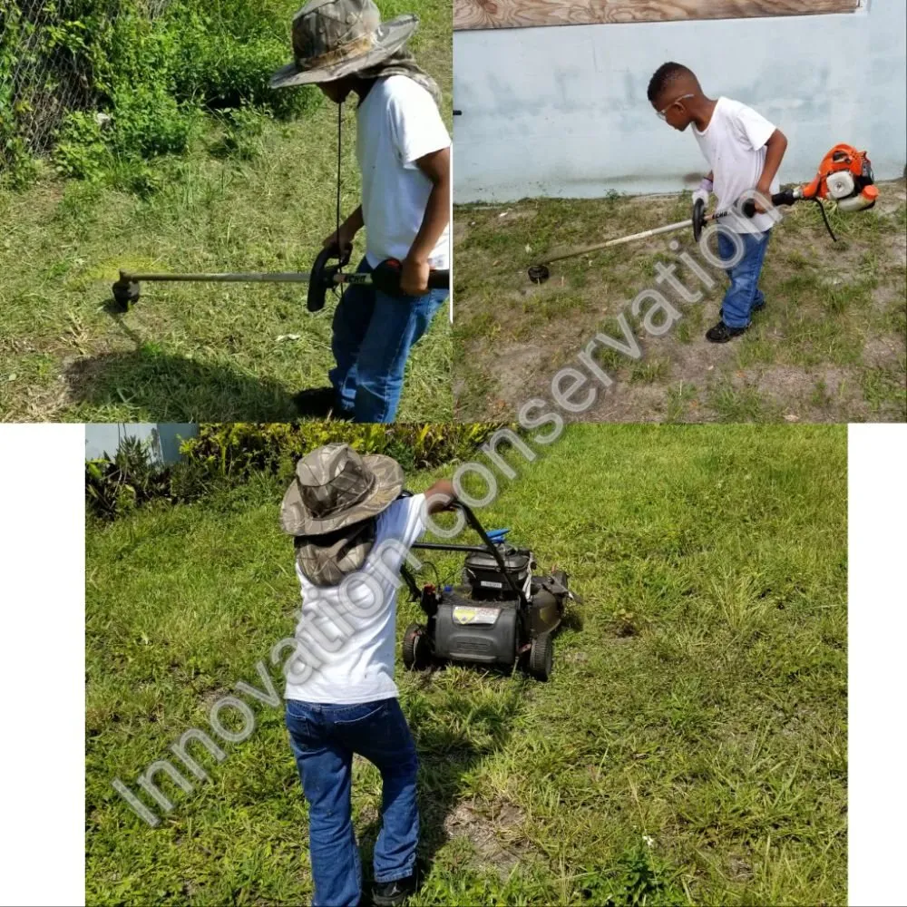 Local residential landscaping in Miami, FL by Innovation Conservation