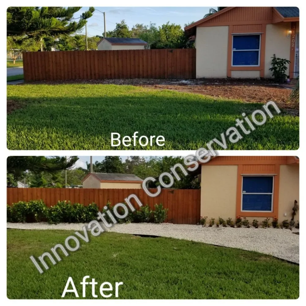 Expert landscaping services for year-round maintenance across Miami, FL - Innovation Conservation