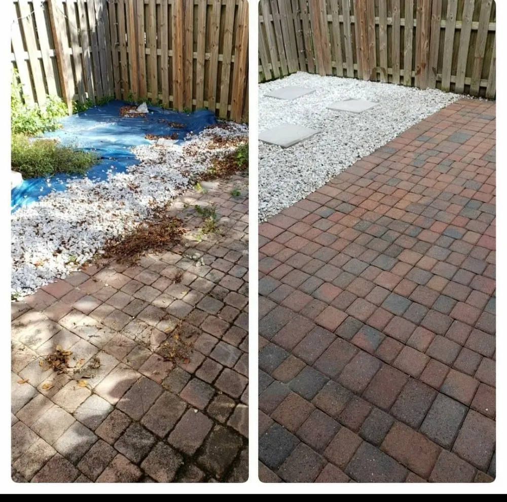 Trusted landscaping services near you in Miami, FL by Innovation Conservation