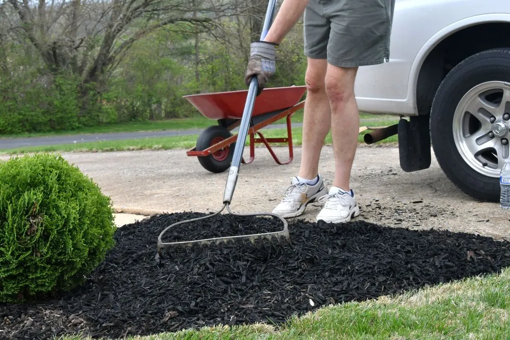 Local yard cleanup service experts serving Leander, TX - Innovation Grounds