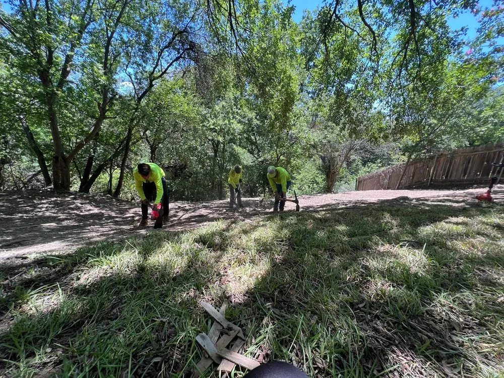 Top-rated lawn care service with custom design across Leander, TX - Innovation Grounds