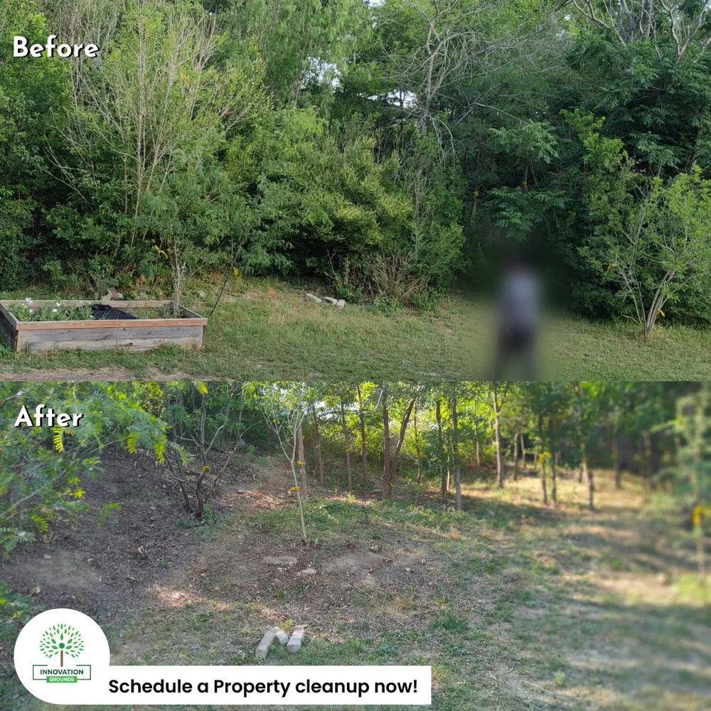 Top-rated landscaping services in Leander, TX - Innovation Grounds