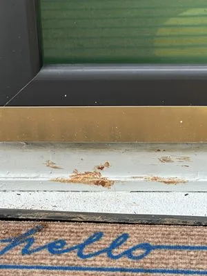 Innovation Landscape Logo