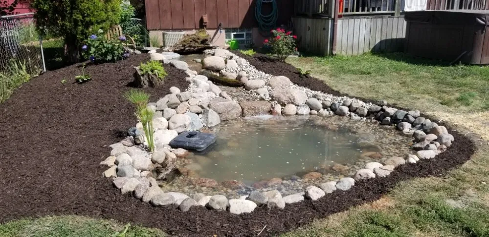 Reliable yard cleanup service experts serving East Chicago, IN - Innovation Landscape