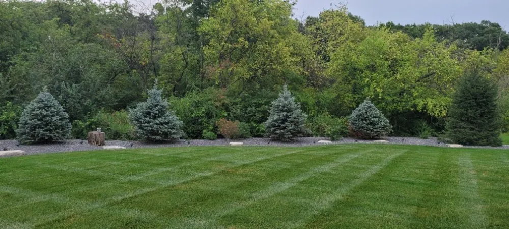 Reliable yard maintenance for homes in East Chicago, IN by Innovation Landscape
