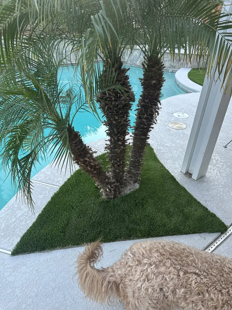 Top-rated landscape installation in North Las Vegas, NV by Innovation landscape