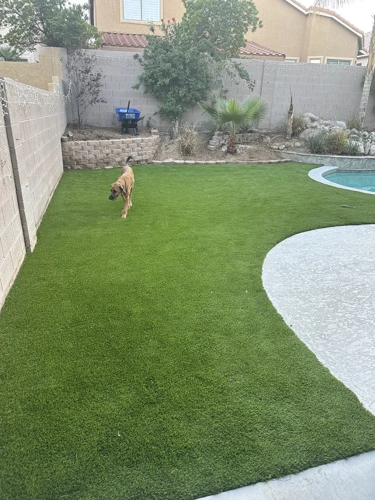 Professional landscape design for homes across North Las Vegas, NV - Innovation landscape