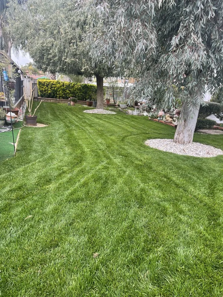 Custom yard cleanup service for homes in Redlands, CA by Innovation Landscaping And Junk Removal