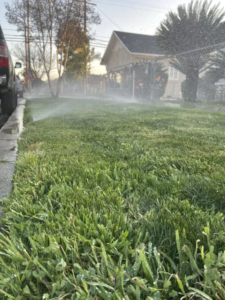 Local lawn care service for homes in Redlands, CA by Innovation Landscaping And Junk Removal