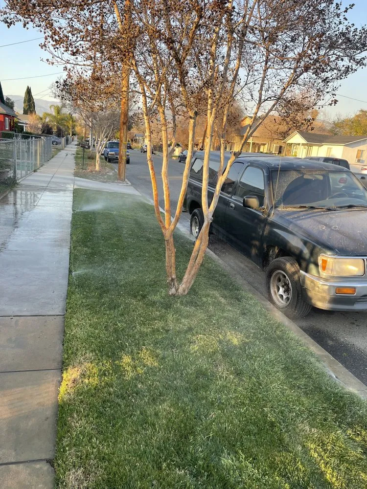 Professional lawn care service in Redlands, CA - Innovation Landscaping And Junk Removal