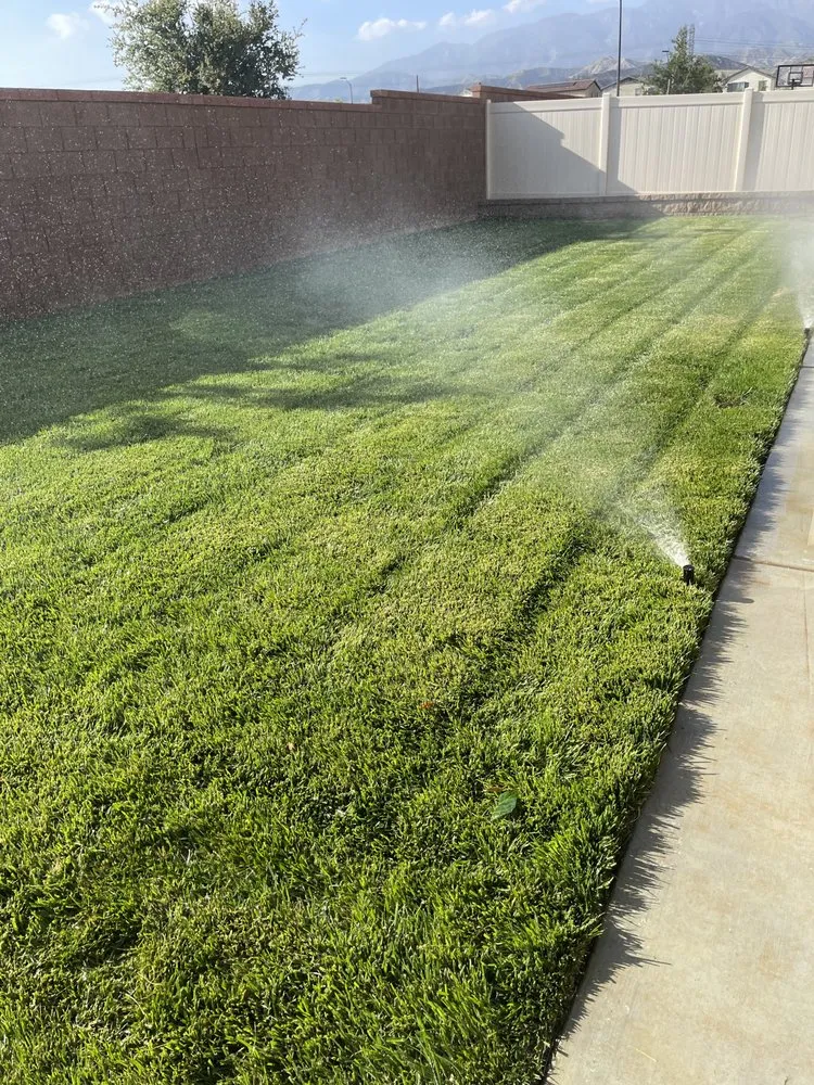 Reliable yard cleanup service experts serving Redlands, CA - Innovation Landscaping And Junk Removal