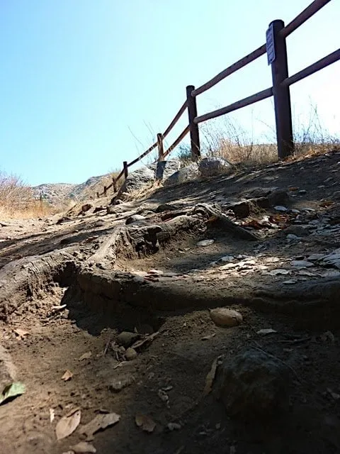 Professional yard maintenance for year-round maintenance in Lakeview, CA by Innovation Landscaping and Pools