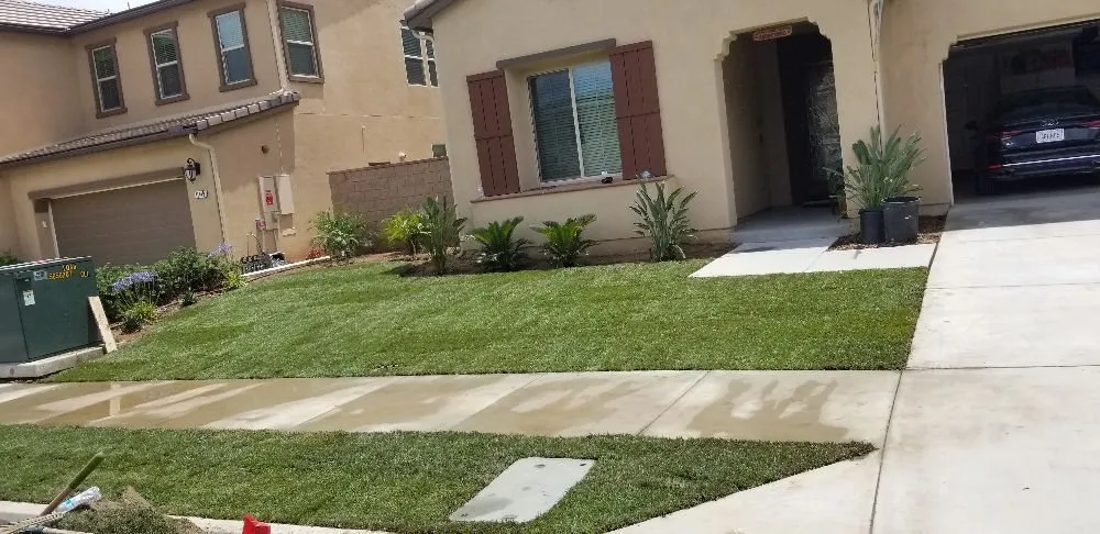 Affordable lawn mowing service experts serving Santa Ana, CA - Innovation Landscaping
