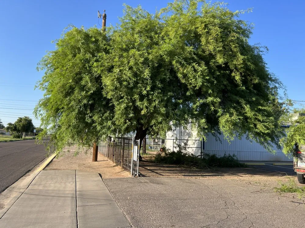 Affordable garden landscaping for outdoor upgrades in Casa Grande, AZ by Innovation Landscaping Services