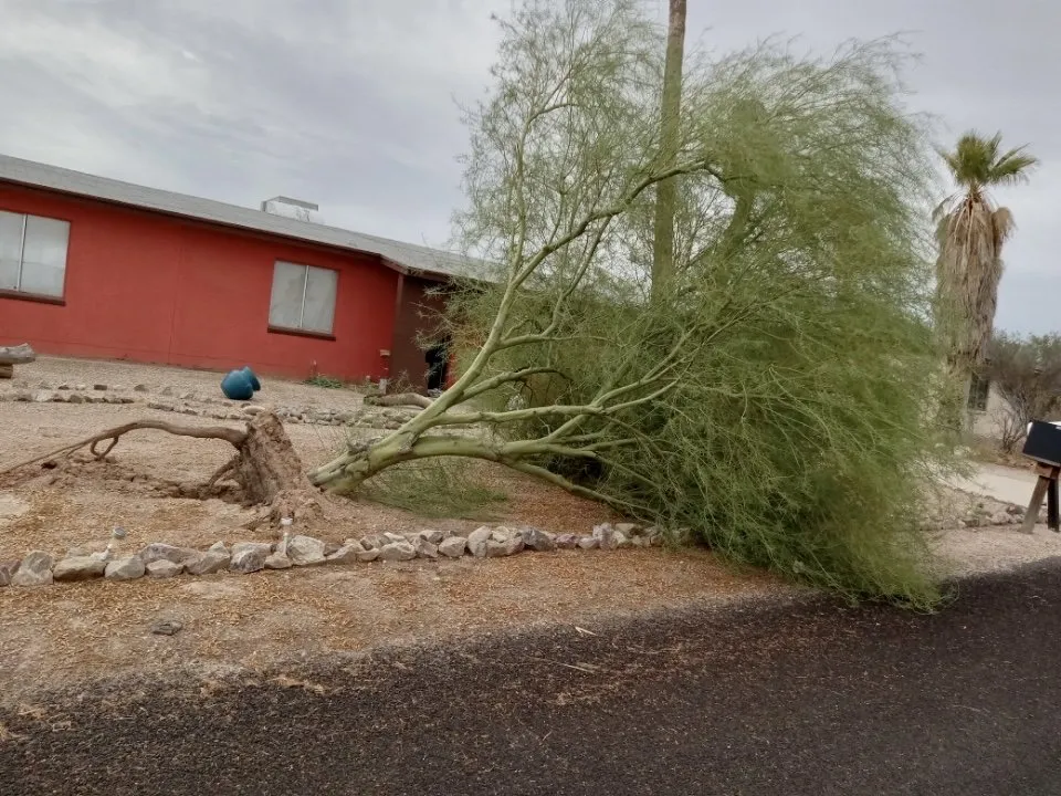 Expert lawn mowing service in Casa Grande, AZ - Innovation Landscaping Services