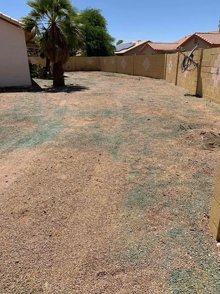 Expert landscaping services in Casa Grande, AZ by Innovation Landscaping Services