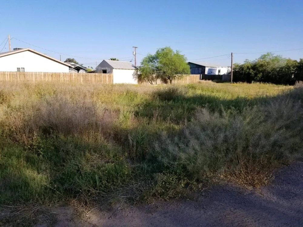 Expert yard cleanup service experts serving Casa Grande, AZ - Innovation Landscaping Services