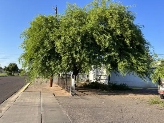 Innovation Landscaping Services Logo