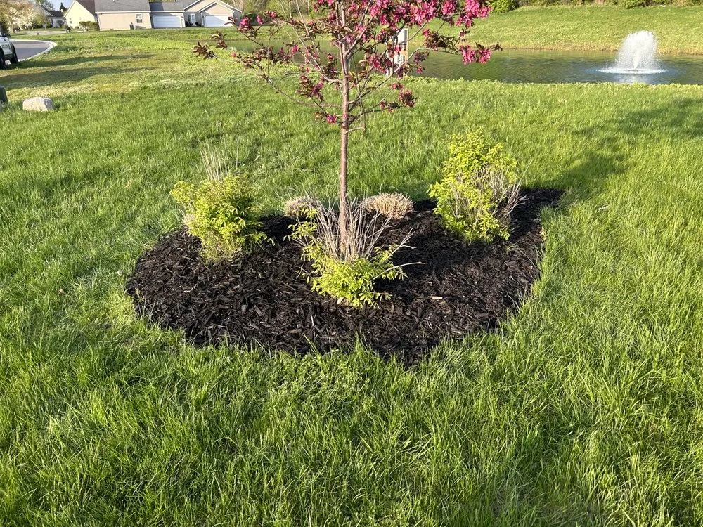 Local lawn mowing service near you across Mishawaka, IN - Innovation Lawn & Landscape