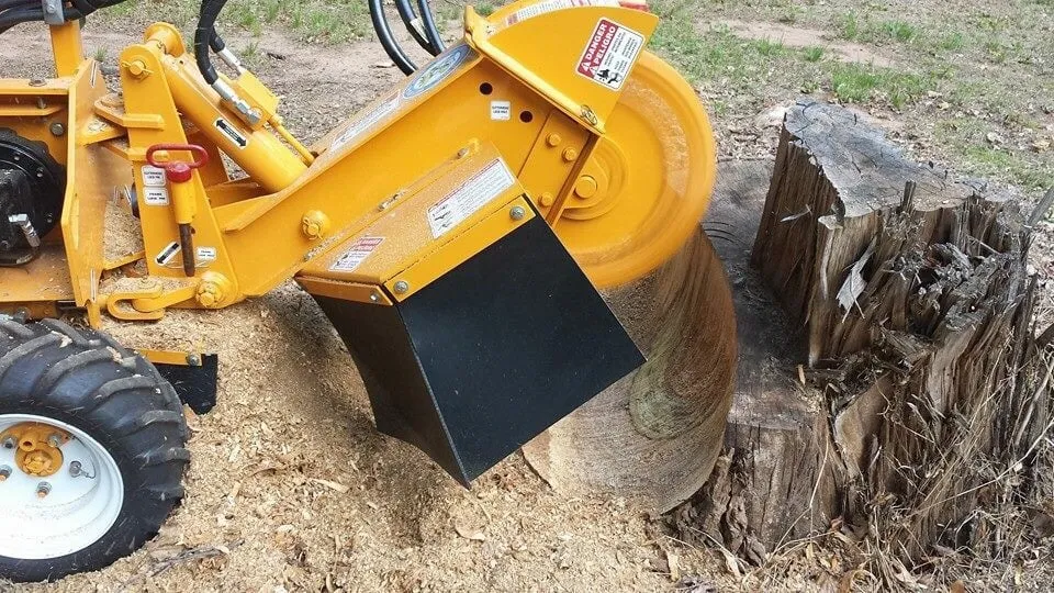 Trusted landscape design experts serving Bedminster, NJ - Innovation Tree Service