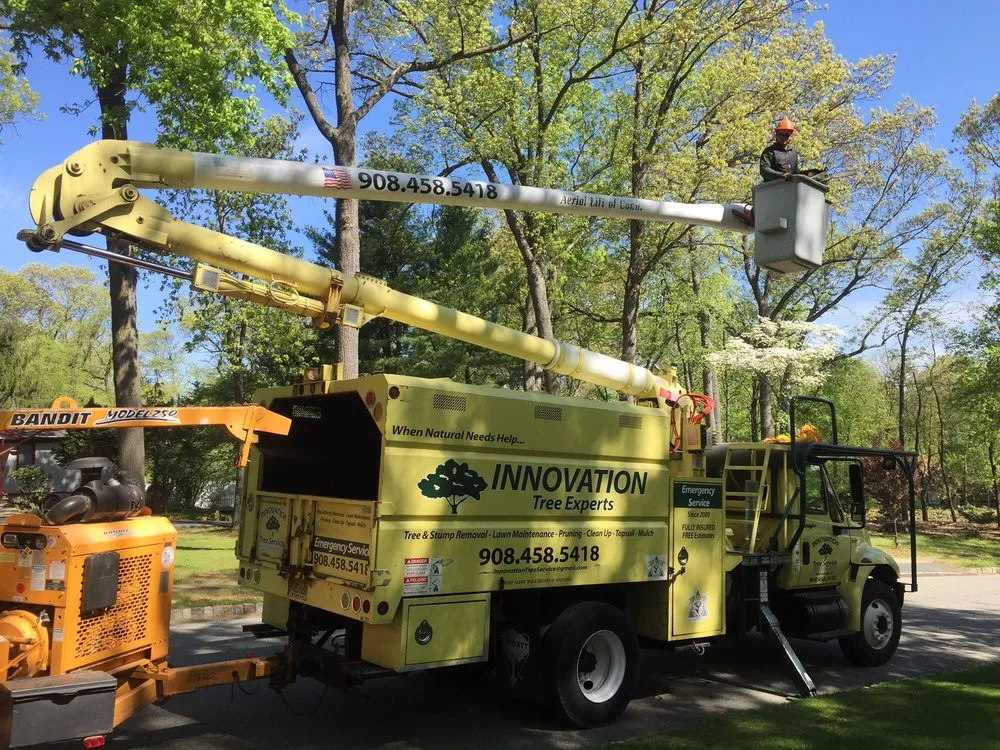 Custom lawn mowing service in Bedminster, NJ - Innovation Tree Service