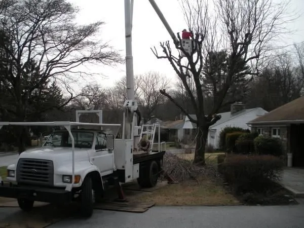 Expert outdoor landscaping for outdoor upgrades across Bedminster, NJ - Innovation Tree Service