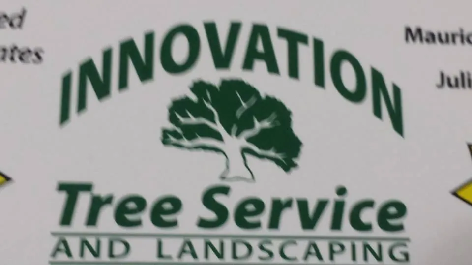 Local landscape design in Bedminster, NJ by Innovation Tree Service