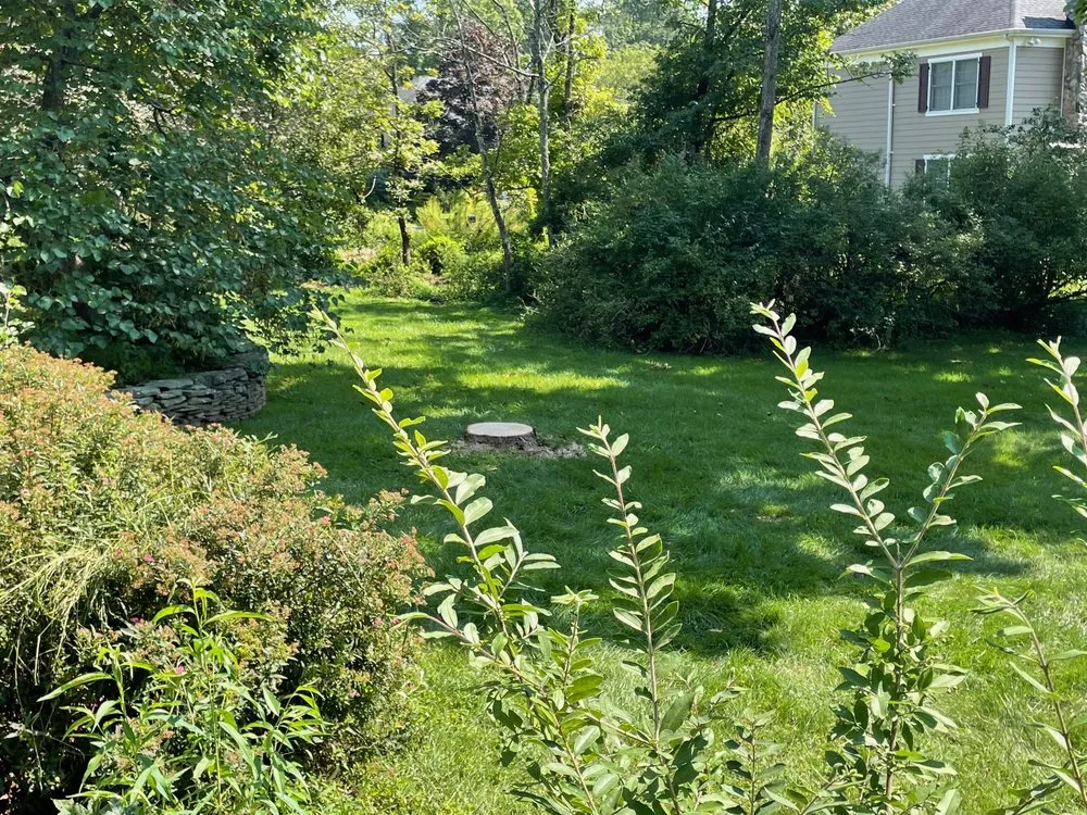 Expert outdoor landscaping with custom design in Bedminster, NJ by Innovation Tree Service