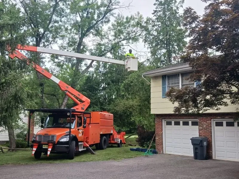 Professional lawn care service for outdoor upgrades in Bedminster, NJ by Innovation Tree Service