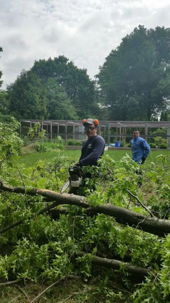 Local outdoor landscaping near you across Bedminster, NJ - Innovation Tree Service