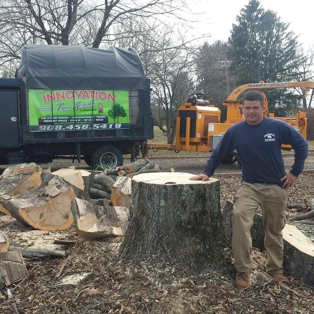 Affordable lawn mowing service experts serving Bedminster, NJ - Innovation Tree Service