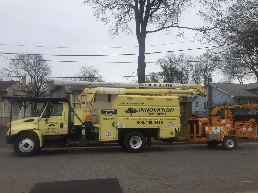 Expert lawn mowing service in Bedminster, NJ by Innovation Tree Service