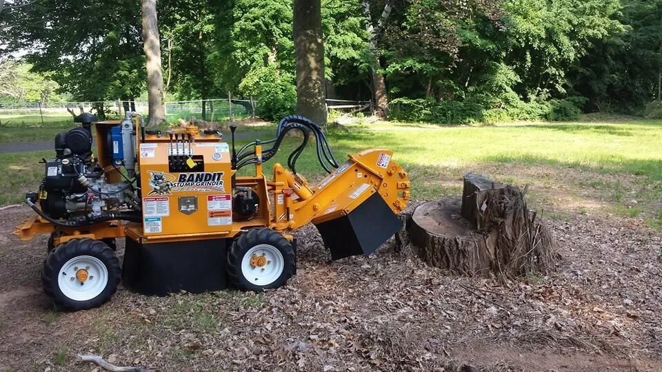 Custom landscape design experts serving Bedminster, NJ - Innovation Tree Service