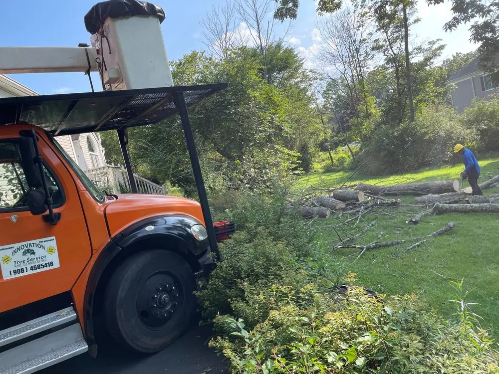 Affordable yard maintenance for residential properties across Bedminster, NJ - Innovation Tree Service