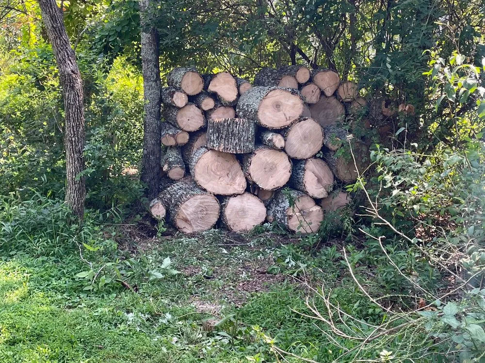 Reliable garden landscaping for year-round maintenance in Bedminster, NJ by Innovation Tree Service