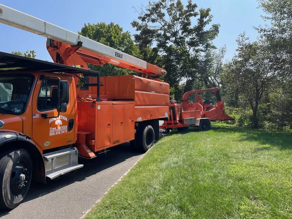 Reliable lawn care service experts serving Bedminster, NJ - Innovation Tree Service
