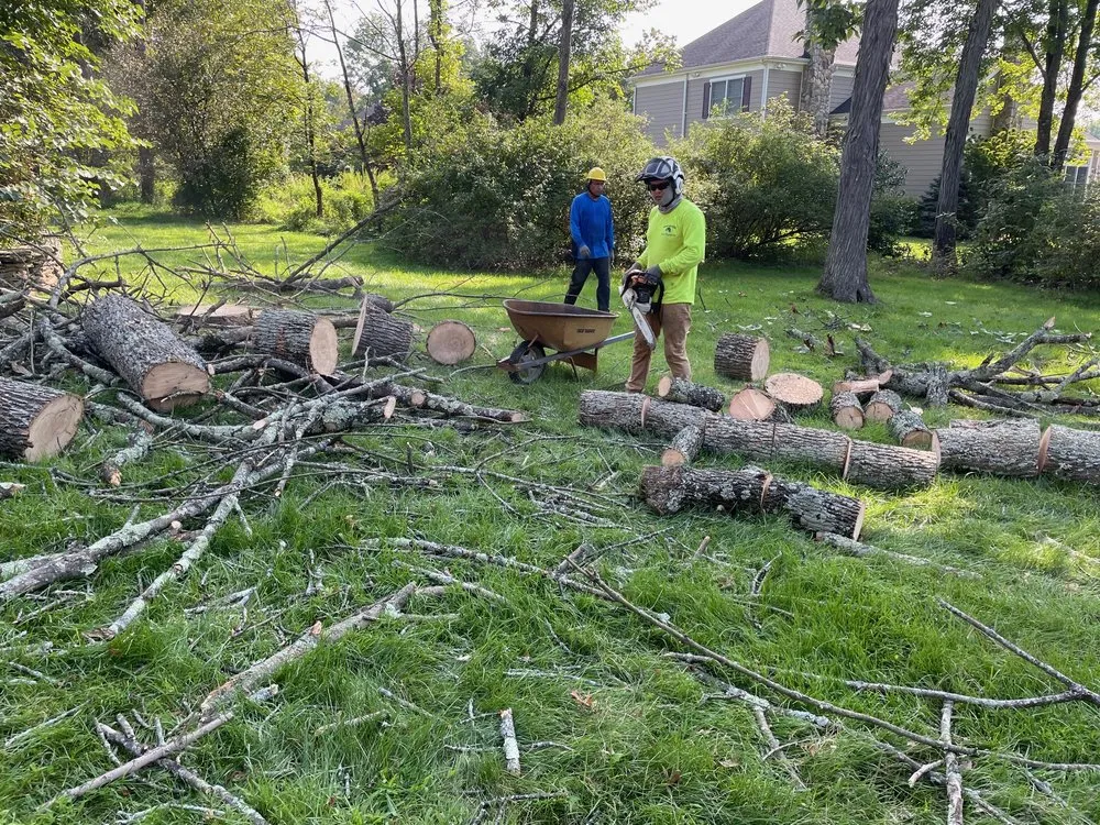 Local garden landscaping in Bedminster, NJ by Innovation Tree Service