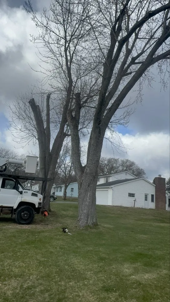 Trusted landscape design for outdoor upgrades across Rochester Ny, NY - Innovation Tree Services