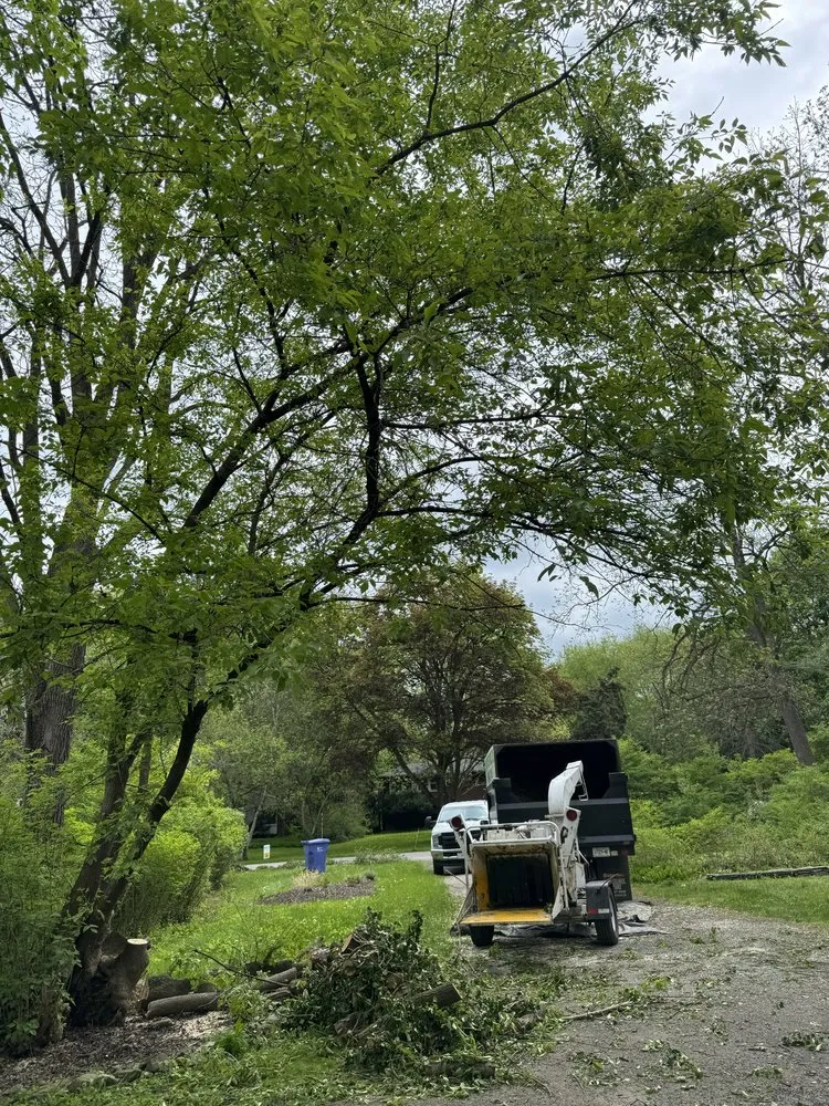 Affordable outdoor landscaping near you in Rochester Ny, NY by Innovation Tree Services
