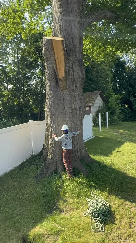 Professional landscape installation in Rochester Ny, NY - Innovation Tree Services