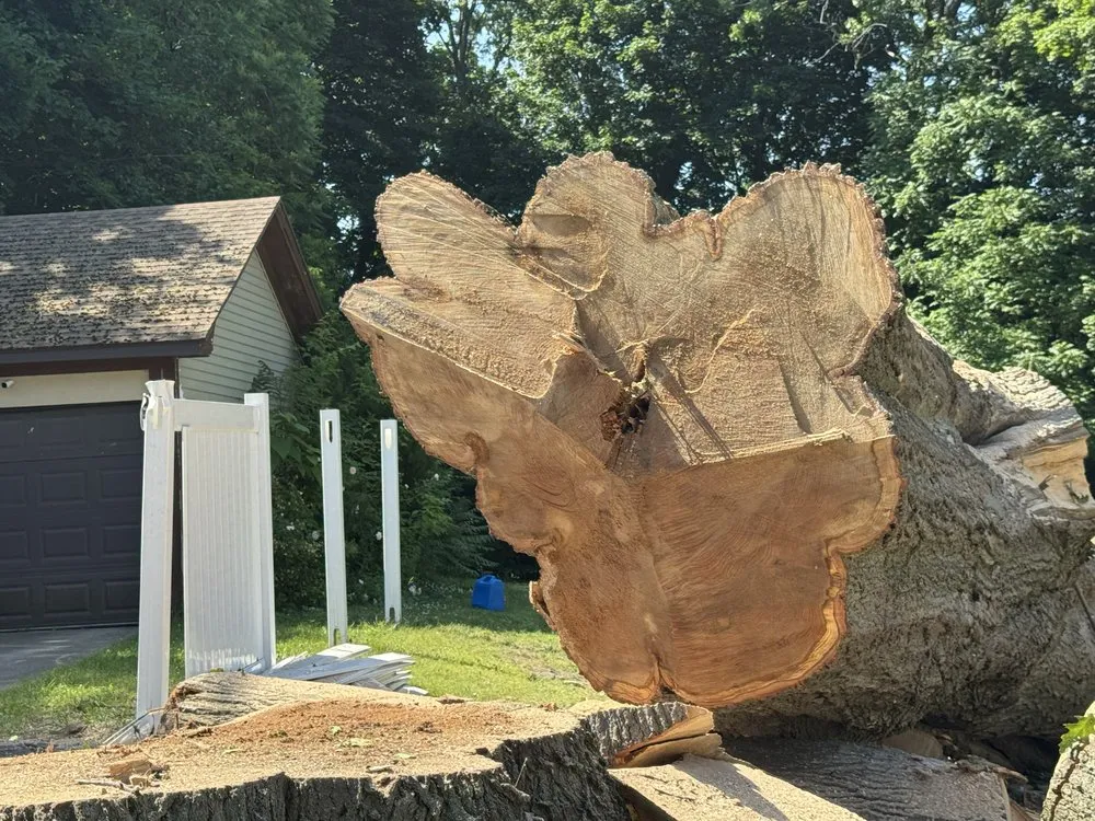 Trusted outdoor landscaping in Rochester Ny, NY by Innovation Tree Services