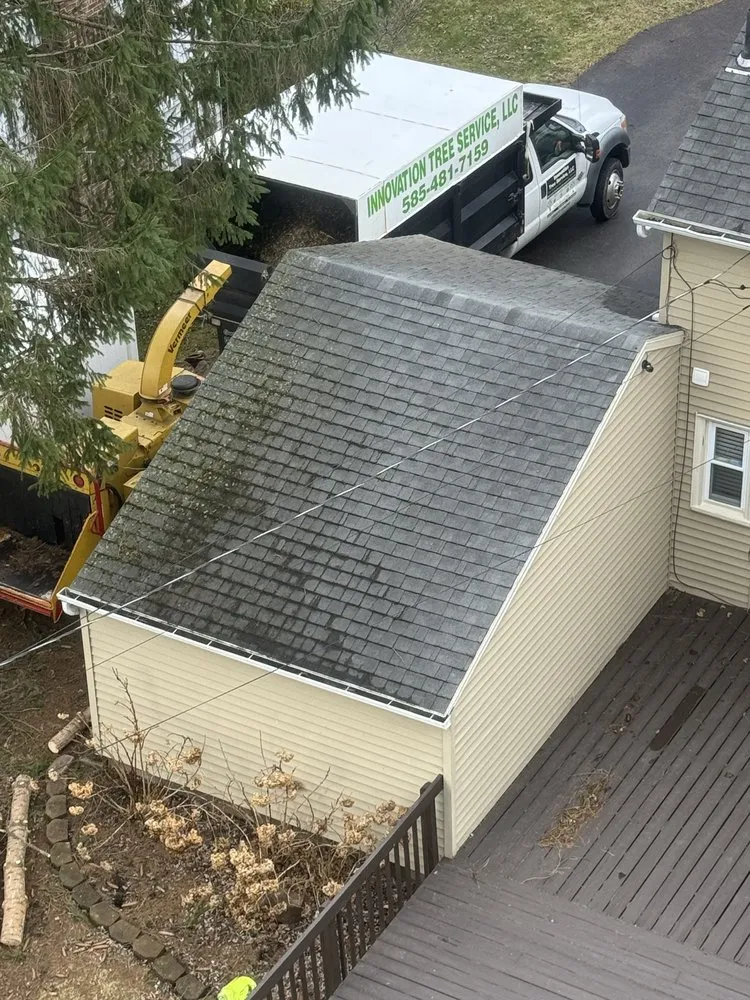 Professional landscape installation in Rochester Ny, NY - Innovation Tree Services