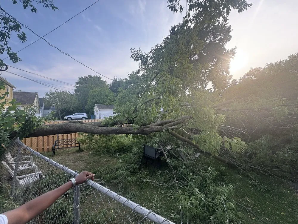 Expert garden landscaping experts serving Rochester Ny, NY - Innovation Tree Services