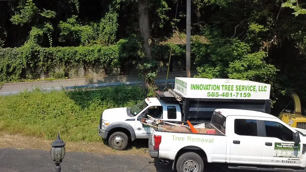 Local yard maintenance with custom design across Rochester Ny, NY - Innovation Tree Services