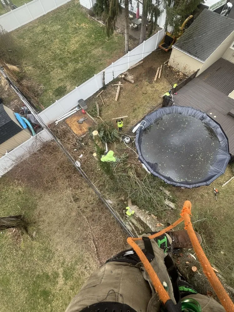 Affordable lawn care service experts serving Rochester Ny, NY - Innovation Tree Services