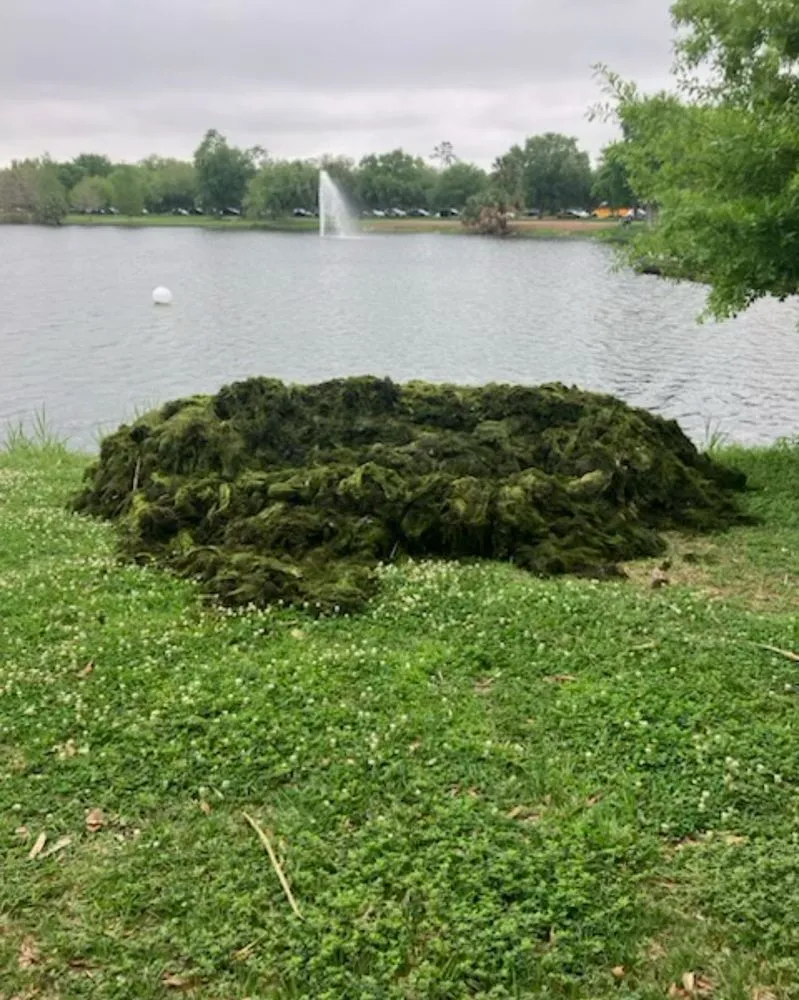 Top-rated landscaping services experts serving New Orleans, LA - Innovative Aquatic Solutions