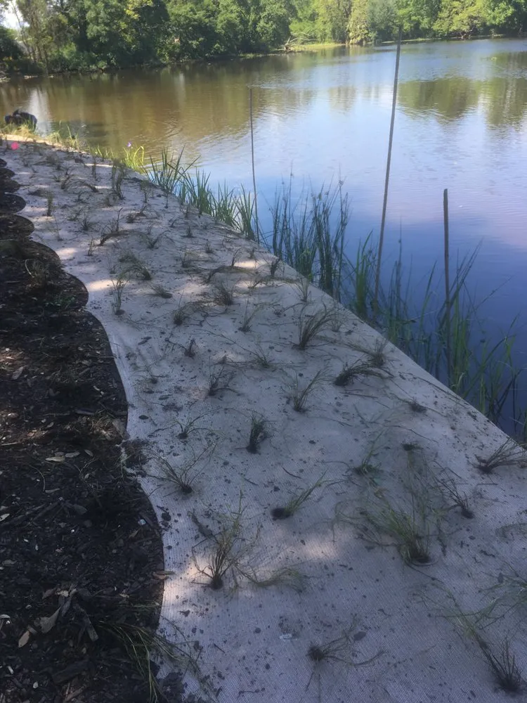 Top-rated lawn mowing service in New Orleans, LA - Innovative Aquatic Solutions